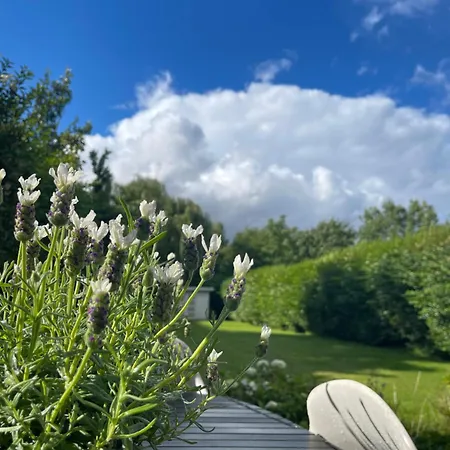 Dreamland Bed & Breakfast Zaventem